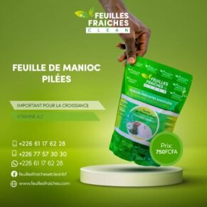 Manioc pré-sauce (surgélé)