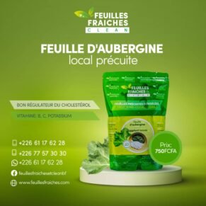 Feuilles d'aubergines -précuite (surgélé)