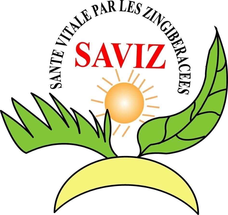 Saviz - logo