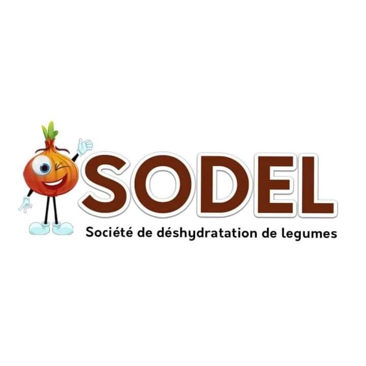 Sodel Logo