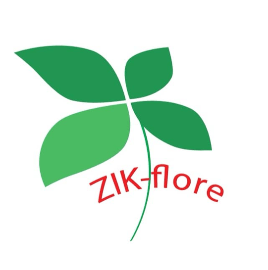 ZIKFLORE BURKINA