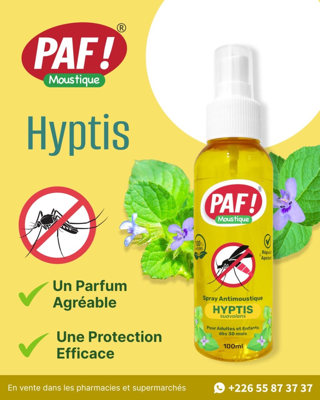 PAF Moustique Hyptis -Les jardins d'Eve